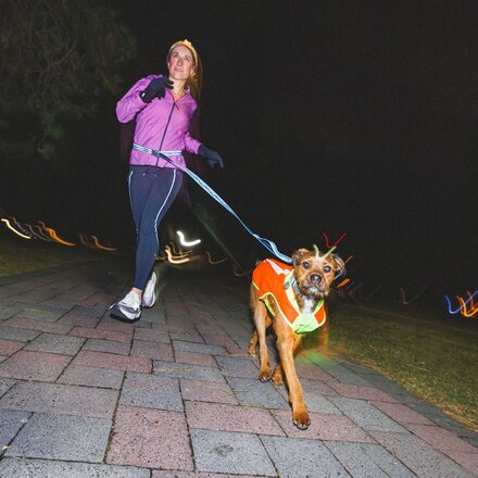 Ruffwear - Lumenglow High-Vis Jacket