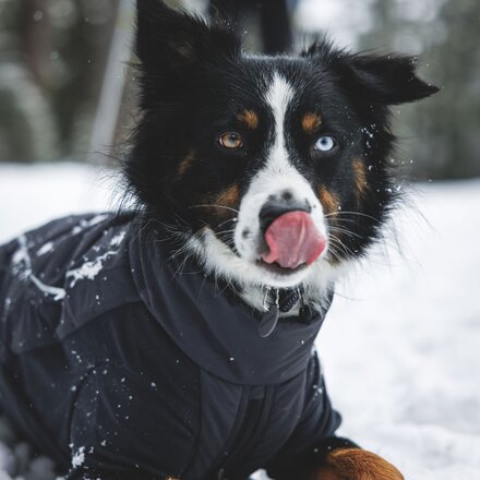 Ruffwear - Powder Hound Waterproof Insulated Coverall