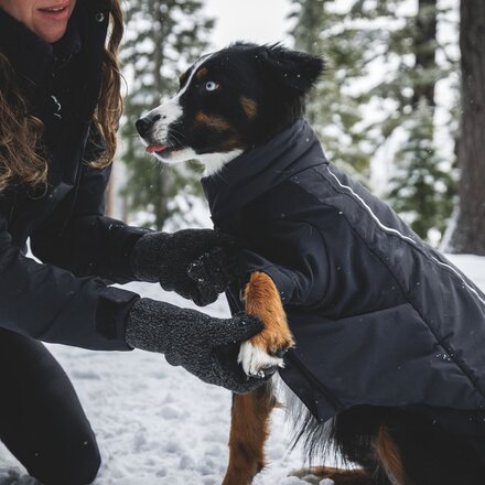 Ruffwear - Powder Hound Waterproof Insulated Coverall
