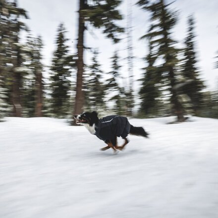 Ruffwear - Powder Hound Waterproof Insulated Coverall