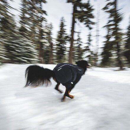 Ruffwear - Powder Hound Waterproof Insulated Coverall