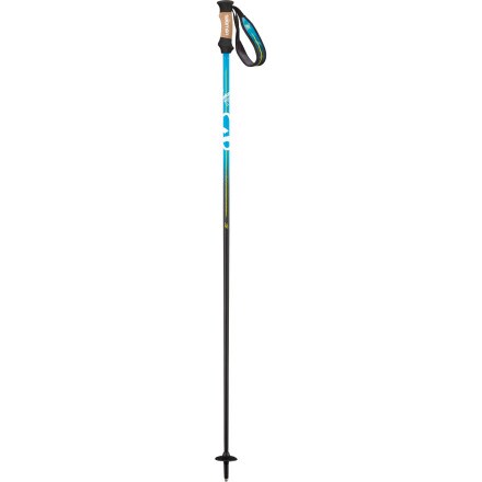 Salomon - BBR 10 Ski Pole
