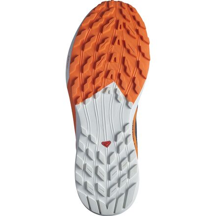 Salomon - Sense Ride 5 Invisible GTX Trail Running Shoe - Men's
