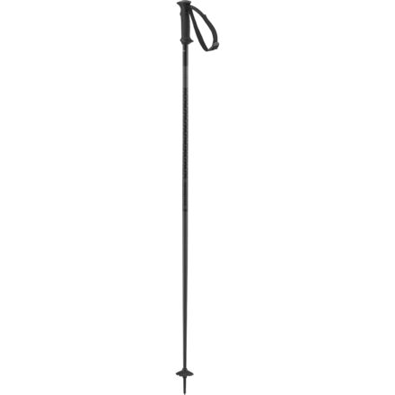 Salomon - Polar Access Ski Poles