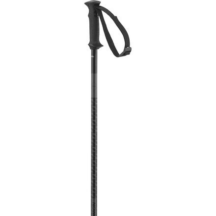 Salomon - Polar Access Ski Poles