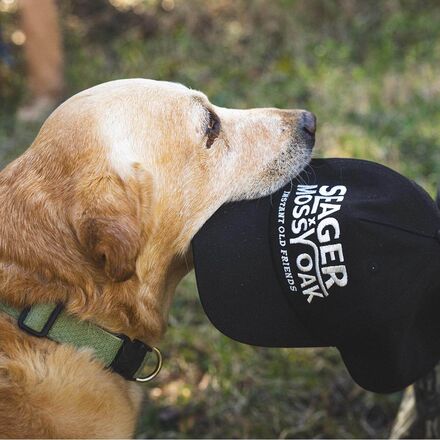 Seager Co. - I.O.F. Snapback Hat