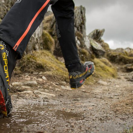 Snowline - Trail Spikes