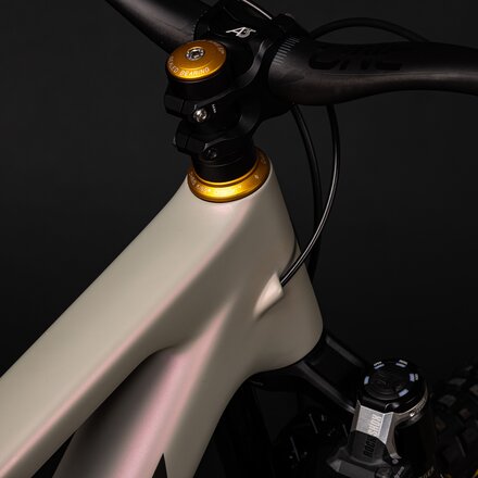 Santa Cruz Bicycles - Tallboy XX FA Limited Edition Mountain Bike
