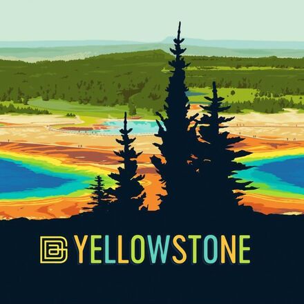 Swiftwick - Vision Crew Impression National Park Sock