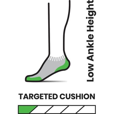 Smartwool - Run Targeted Cushion Stripe Low Ankle Sock - Women's