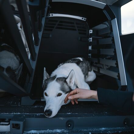Thule - Allax Dog Crate