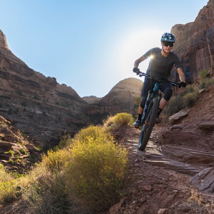 Tifosi Optics - Moab Sunglasses