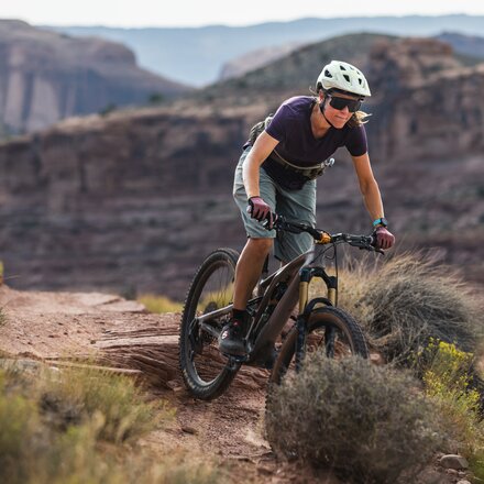 Tifosi Optics - Moab Sunglasses