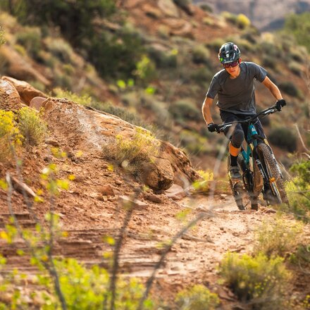 Tifosi Optics - Moab Sunglasses