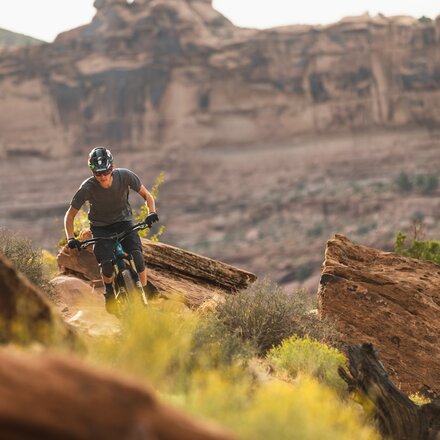 Tifosi Optics - Moab Sunglasses