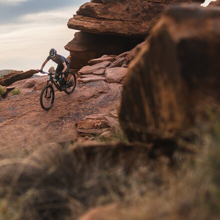Tifosi Optics - Moab Sunglasses