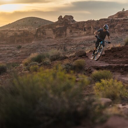 Tifosi Optics - Moab Sunglasses