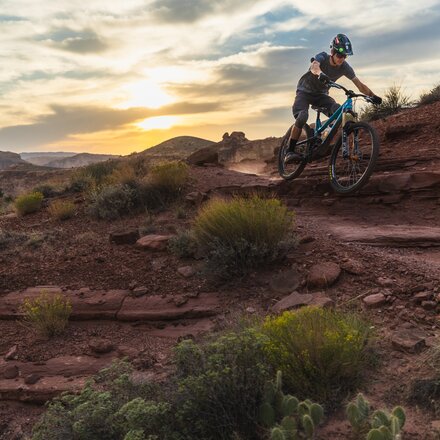 Tifosi Optics - Moab Sunglasses