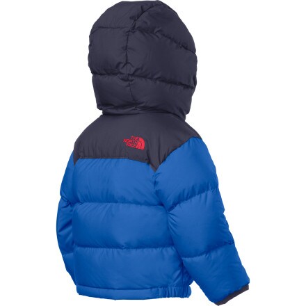 The North Face - Nupste Hooded Down Jacket - Infant Boys'