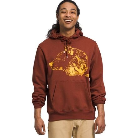 The North Face - TNF Bear Pullover Hoodie - Men's - Brandy Brown/Bear Graphic