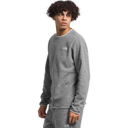The North Face - Alpine Polartec 100 Crew - Men's