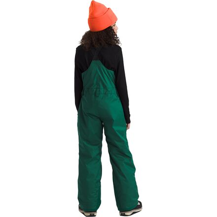 The North Face - Freedom Insulated Bib - Kids'