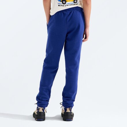 The North Face - Evolution Embroidered Pant - Kids'