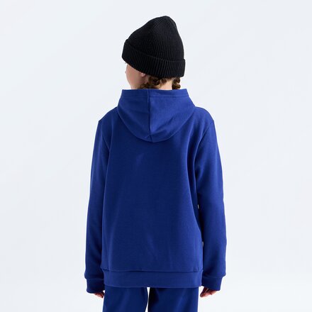 The North Face - Evolution Embroidered Pullover Hoodie - Kids'