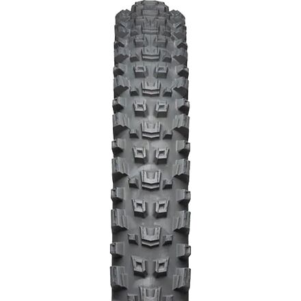 Teravail - Warwick Tire - 27.5in