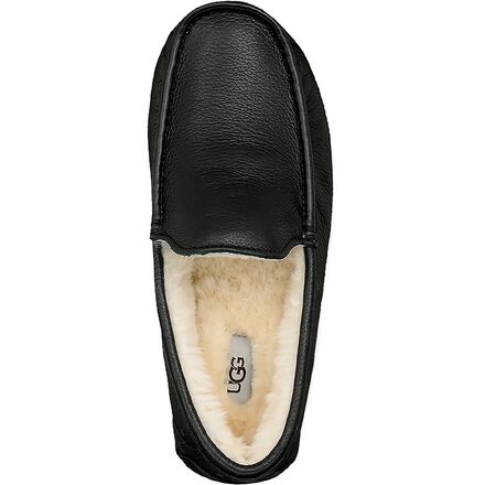 UGG - Ascot Slipper - Men's