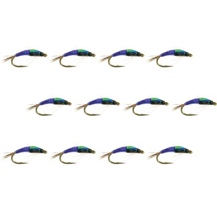 Juju Baetis 12-Pack