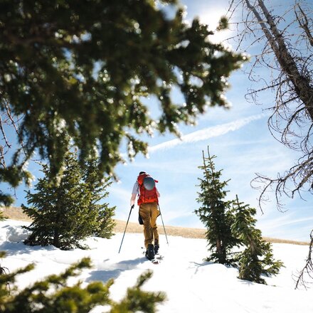 Weston - Backwoods Splitboard - 2027