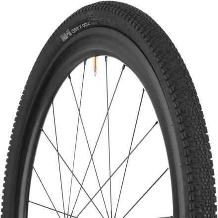 WTB - Riddler TCS Light Tubeless Tire - Black