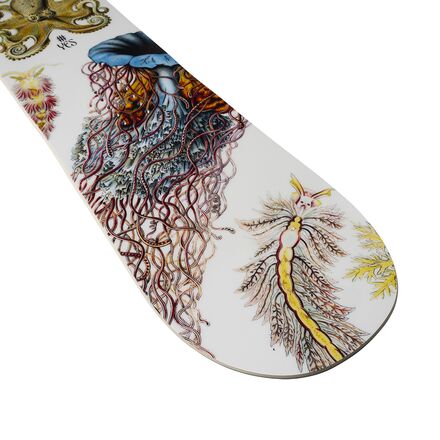 Yes. - Hel Yes Snowboard - 2026 - Women's