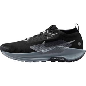Nike Pegasus Trail 5 GORE-TEX Running Shoe - Men's - Footwear