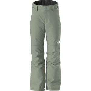 North Face Women’s small ski pants The North Face Freedom Stretch Shell Snow Pants Women's