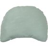 Iceberg Green