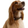 Barbour - Tartan & Webbing Dog Collar - Classic Tartan
