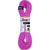 Fuschia