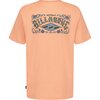 Faded Orange