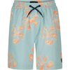 Billabong - Sundays Layback Boardshort - Boys' - Dusty Blue