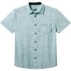 Roll Tides Fern Green