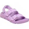 Crocus Birko Flor