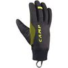 Black/Lime