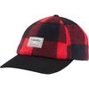 Mountain Red Check Print