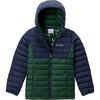 Rain Forest/Collegiate Navy