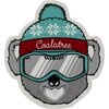 Coalatree - CT Ski Sticker - One Color