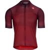 Rich Red/Bordeaux/Black