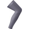 Smoky Gray