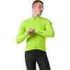 Electric Lime